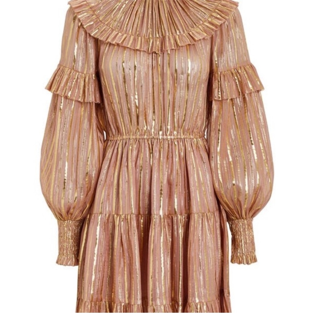 Ulla Johnson Averil Ruffled Georgette Dress in Blush - Picture 10 of 10